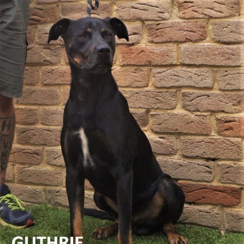Guthrie