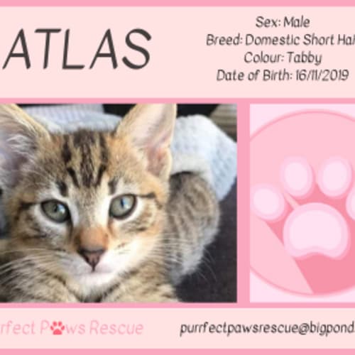 Atlas