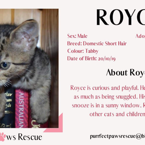 Royce