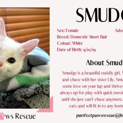 Smudge