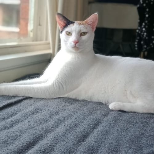 Maggie 