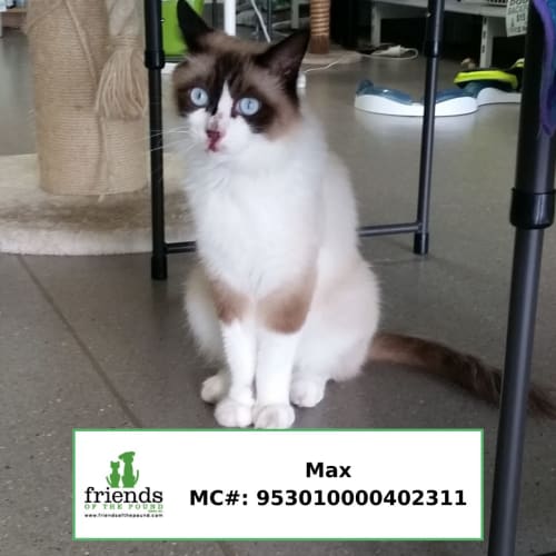 Max