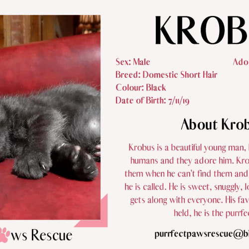 Krobus