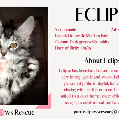 Eclipse