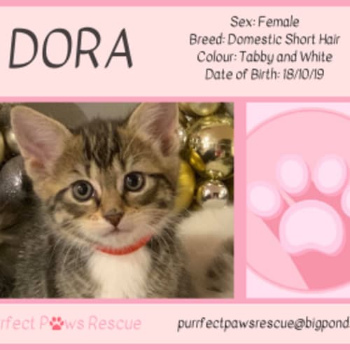 Dora