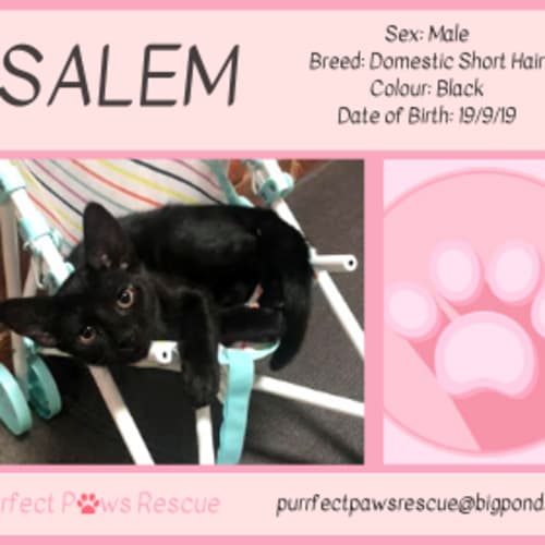 Salem
