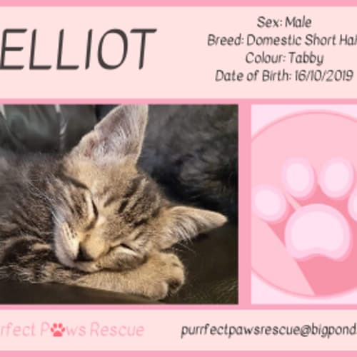 Elliot