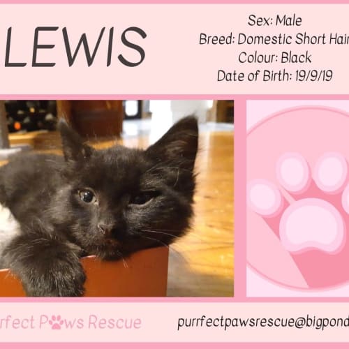 Lewis