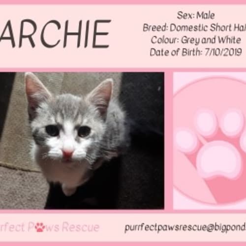 Archie