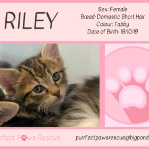 Riley