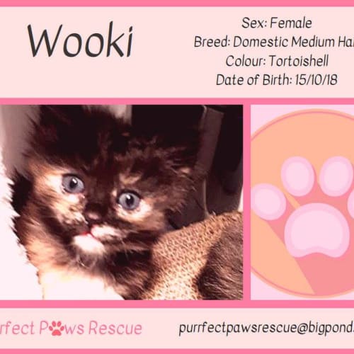 Wooki