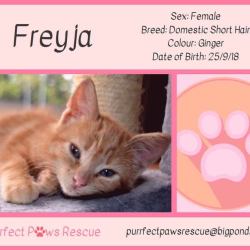 Freyja