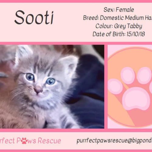 Sooti