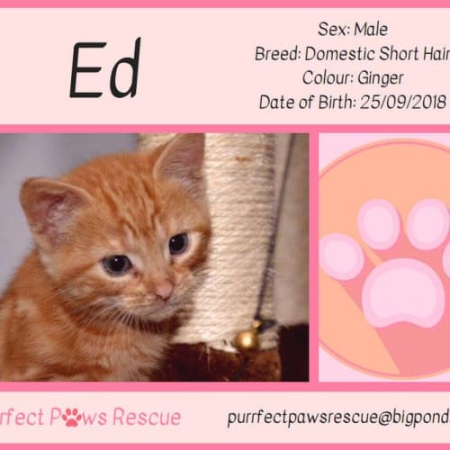 Ed