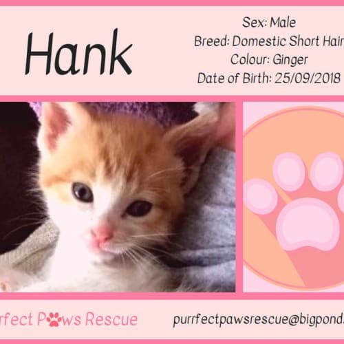 Hank