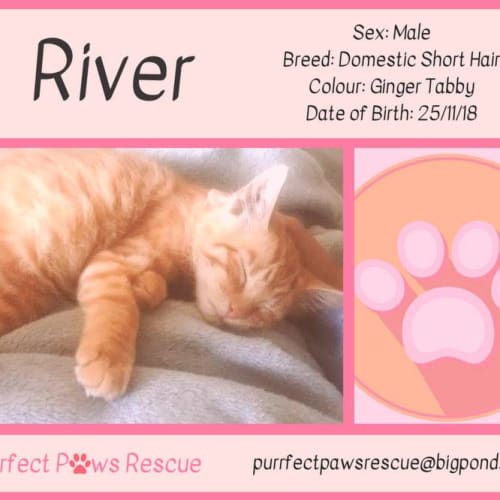 River