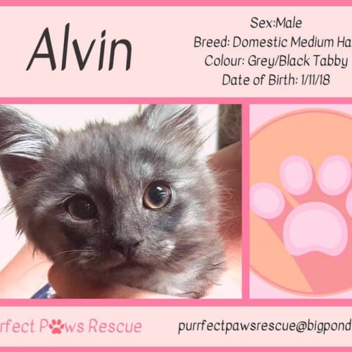 Alvin