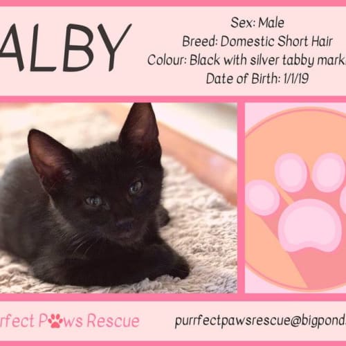 Alby