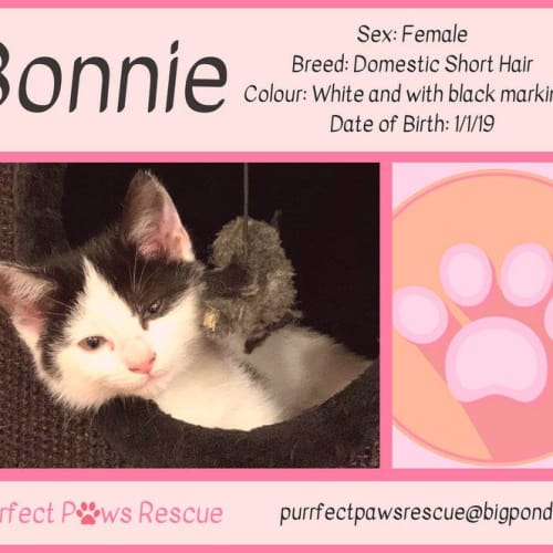 Bonnie