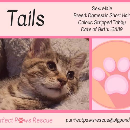 Tails