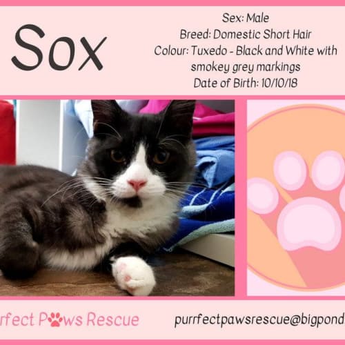 Sox