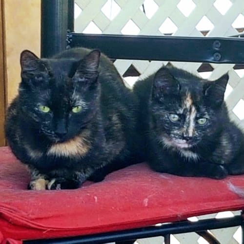 Celeste and Minnie 