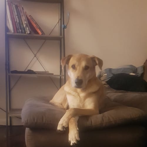 Oscar