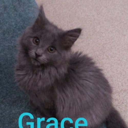 Grace