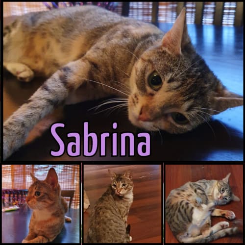Sabrina