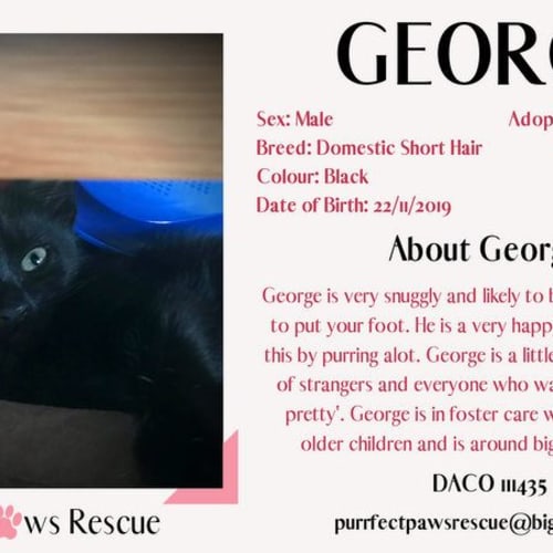 George (George Wickham)