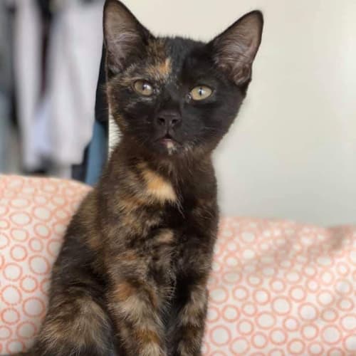 Bella🥰