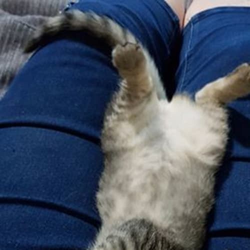 Tabitha 