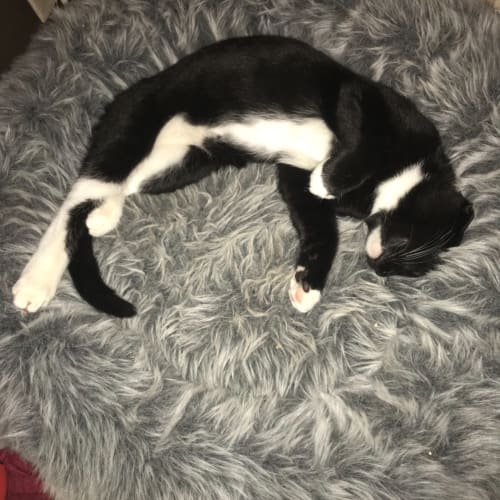 Matilda
