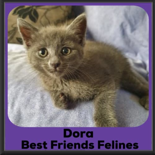 Dora 
