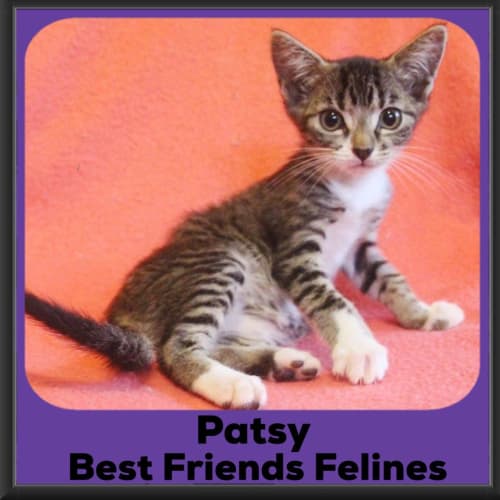 Patsy 