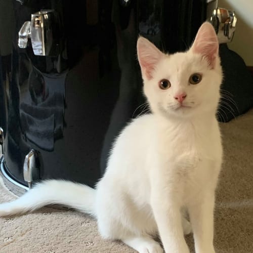 Glenn, Doyle & Greta