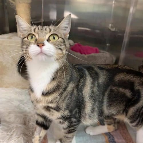 Quinn