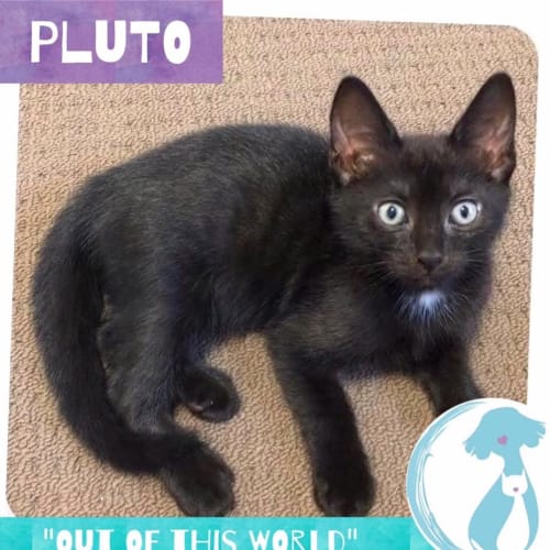 Pluto 