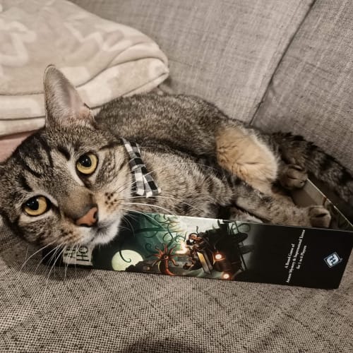 Inigo