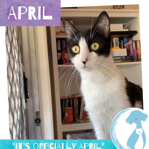 April