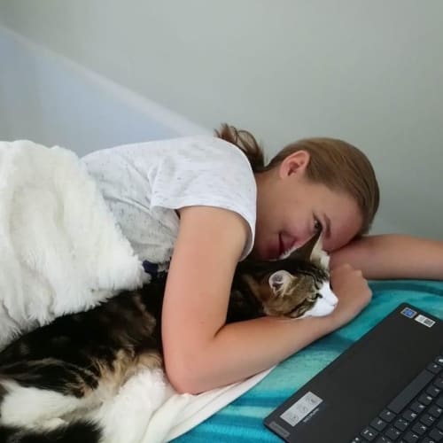 Tabby Ted ~ 2 year old cat (deposit taken)