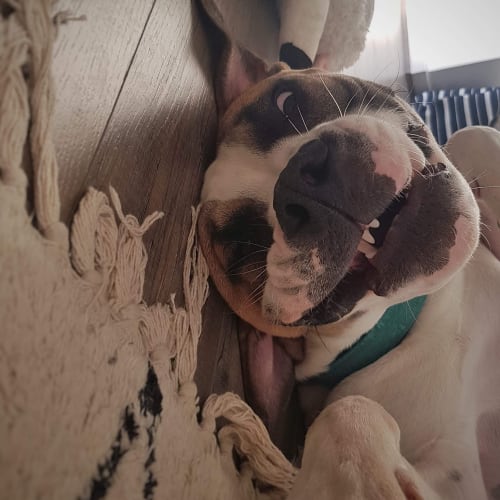 Max