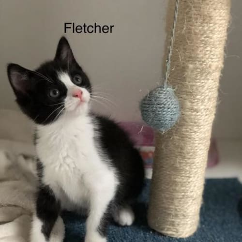 Fletcher