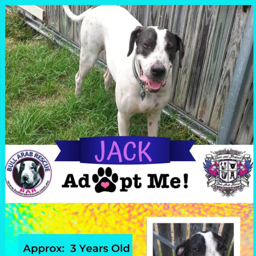 Jack