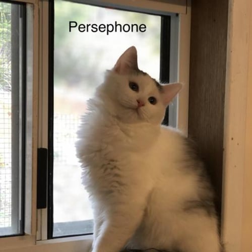 Persephone
