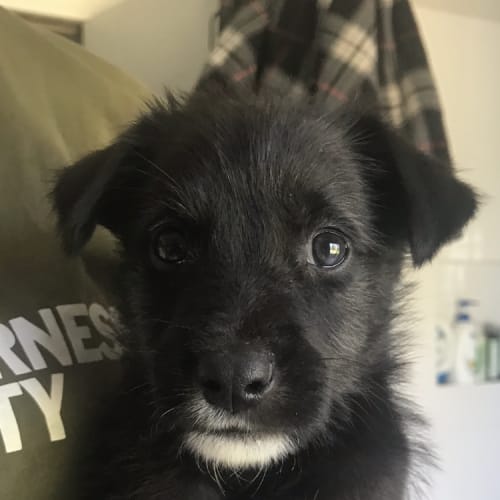 Barnaby