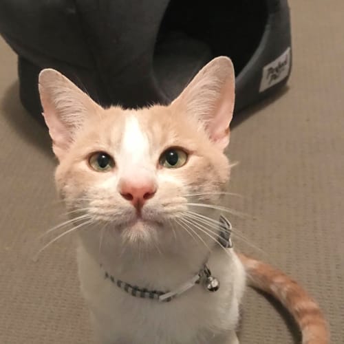 Diego 
