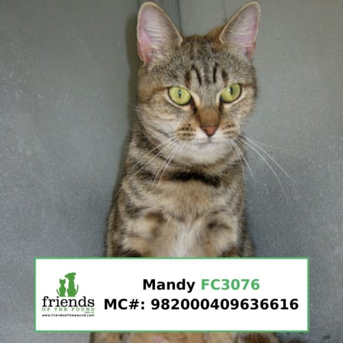 Mandy