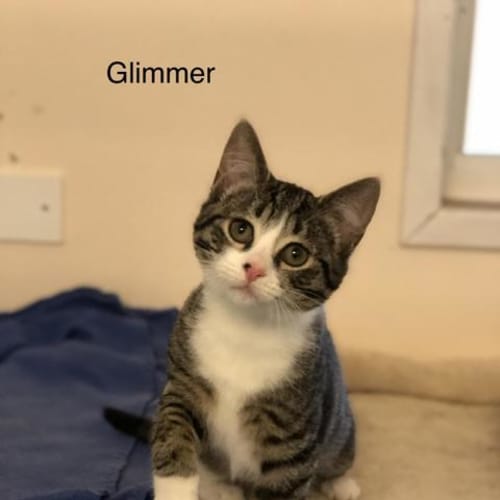 Glimmer