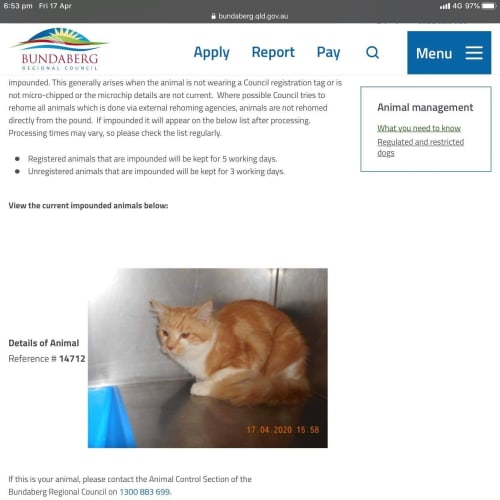 Foster carers needed urgently